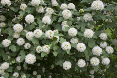 Similar image 6429162