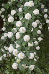 Similar image 6429164