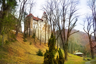 Similar image 6429283