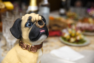 Similar image 6433948