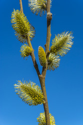 Similar image 6433972