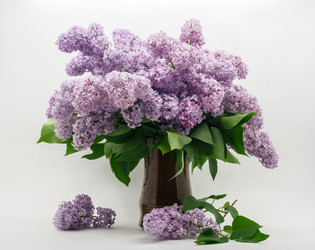 Similar image 6433990