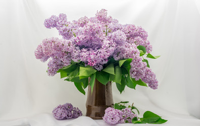 Similar image 6433991