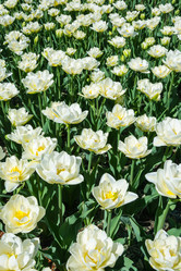 Similar image 6433995