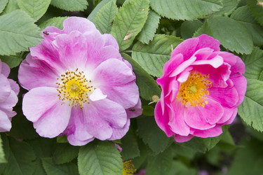 Similar image 6434060