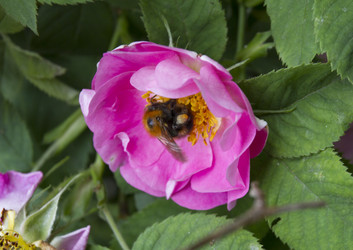 Similar image 6434064