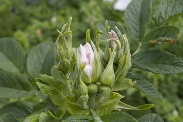 Similar image 6434069