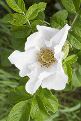 Similar image 6434075