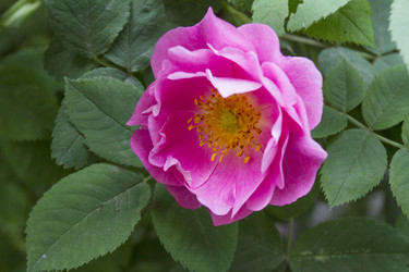 Similar image 6434128