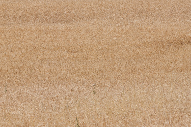 Similar image 6434245