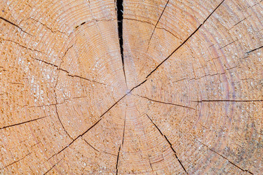 Similar image 6434247