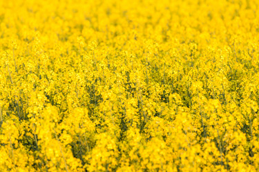 Similar image 6434267