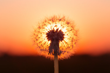 Similar image 6434269