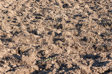 Similar image 6434287