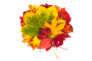 Similar image 6434296