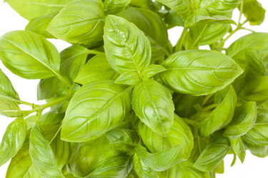 Similar image 6434300