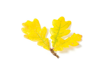 Similar image 6434303