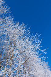 Similar image 6434304