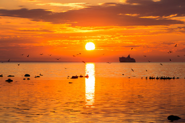 Similar image 6434340