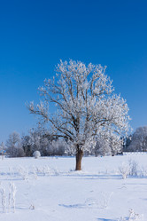 Similar image 6434345