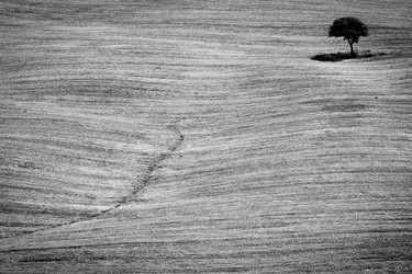 Similar image 6434357