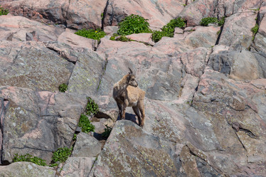 Similar image 6434361