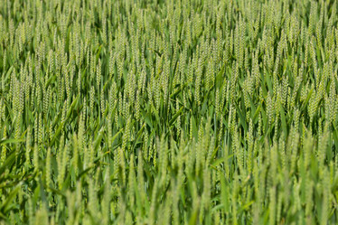 Similar image 6434364