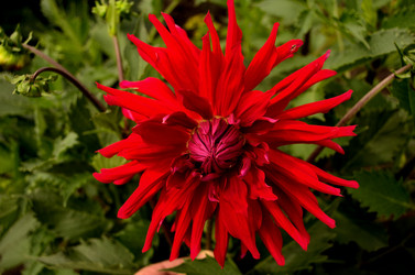 Similar image 6434394