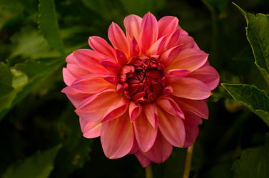 Similar image 6434413