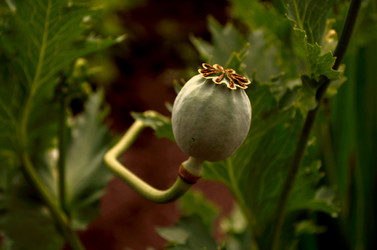 Similar image 6434414