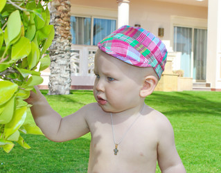 Similar image 6434447