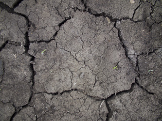 Similar image 6434476