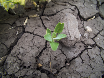 Similar image 6434477