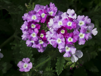 Similar image 6434478