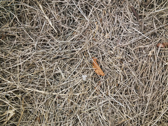 Similar image 6434482