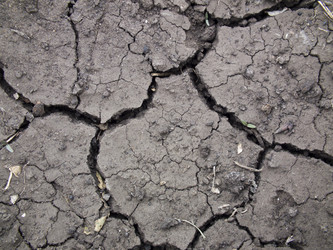 Similar image 6434483