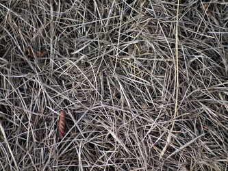 Similar image 6434490