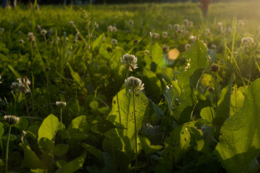 Similar image 6434495