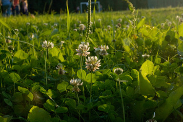 Similar image 6434496