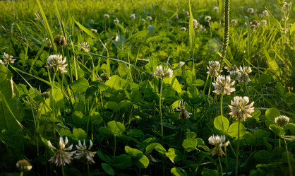 Similar image 6434497