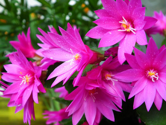 Similar image 6434528