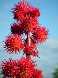 Similar image 6434559