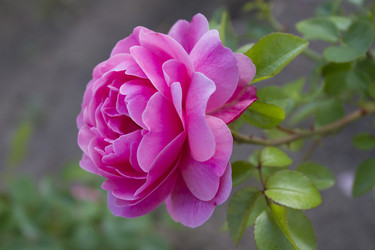 Similar image 6434624