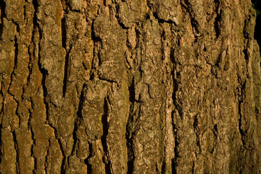 Similar image 6434656