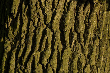 Similar image 6434657