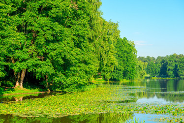 Similar image 6434776