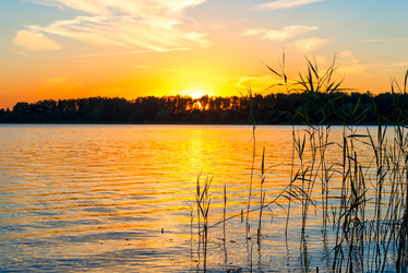 Similar image 6434784