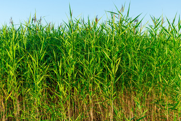 Similar image 6434796