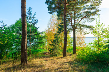 Similar image 6434799