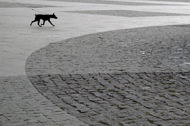 Similar image 6434825